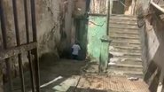 Reprodução/Vídeo
