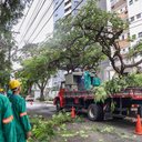 Bruno Concha / Secom