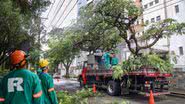 Bruno Concha / Secom