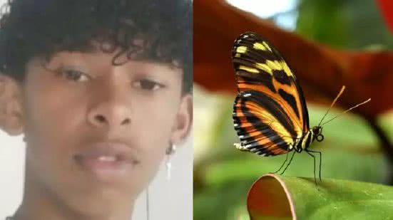 Reprodução
