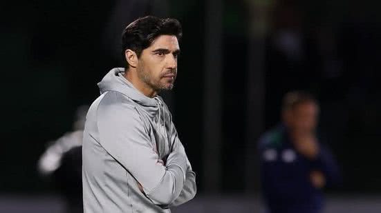 Cesar Greco/Palmeiras