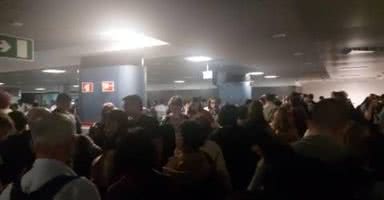 Reprodução