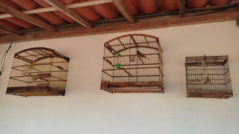 Divulgação/PRF