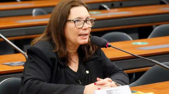 Najara Araújo / Câmara dos Deputados