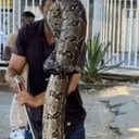 Reprodução Redes Sociais