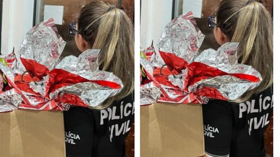 Divulgação / Polícia Civil