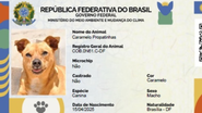 Reprodução: Gov.Br