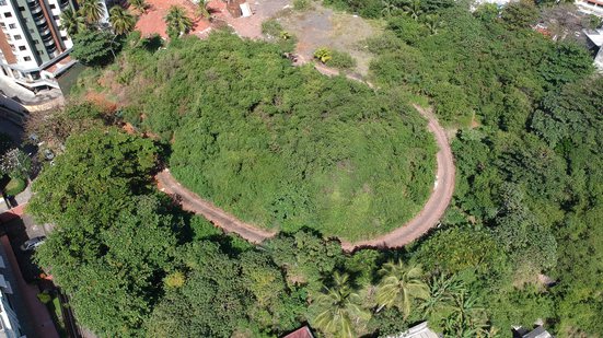 Divulgação