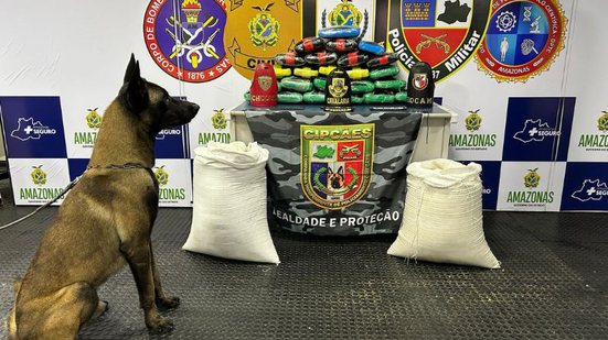 Divulgação | PMAM