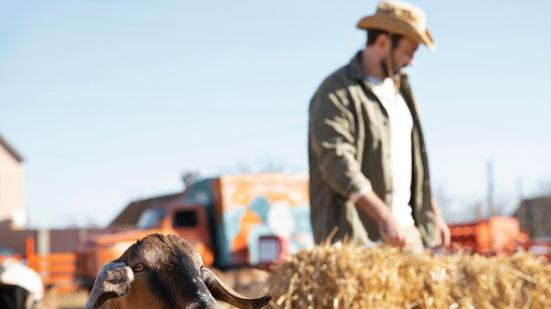 Divulgação / Freepik