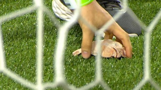 Imagem Torcida do Palmeiras arremessa cabeças de galinha no gramado durante clássico contra o Corinthians