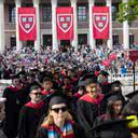 Divulgação / Harvard