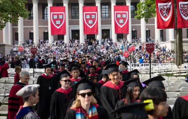 Divulgação / Harvard