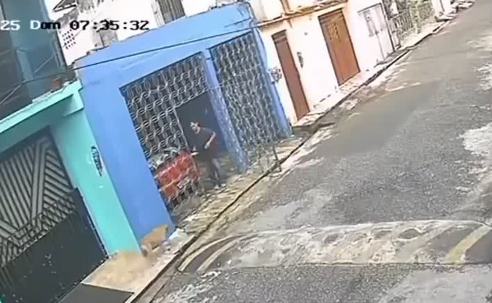 Foto / Reprodução
