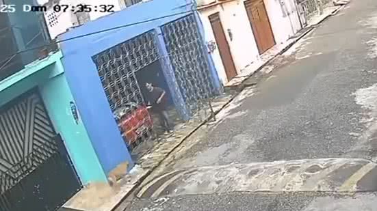Foto / Reprodução