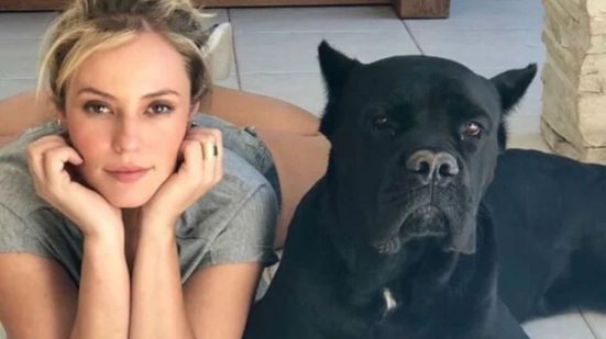 Reprodução / Redes sociais
