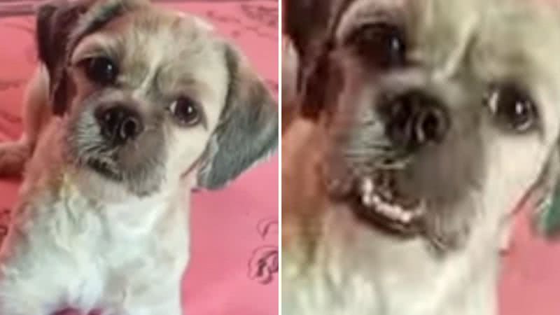 Reprodução / Redes sociais