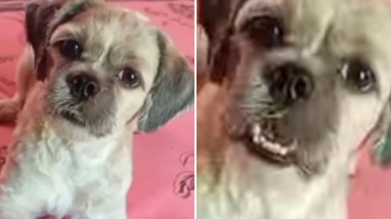 Reprodução / Redes sociais