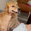 Reprodução / Redes sociais