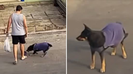 Reprodução / Redes sociais