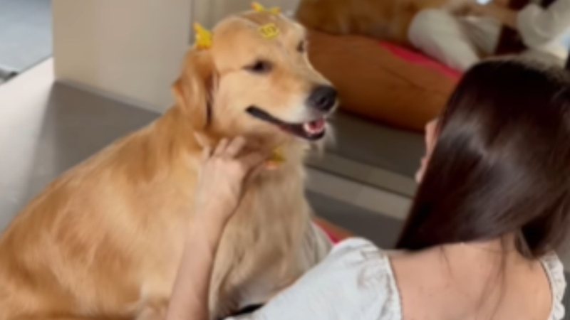 Reprodução / Redes sociais