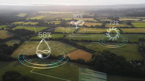 Divulgação / Freepik