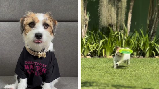 Reprodução/ Instagram/ Suri Doguinha