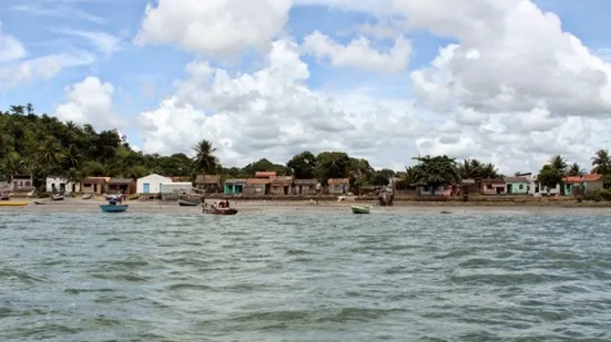 Reprodução  Blog JC MeioAmbiente