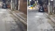 Foto / Reprodução