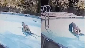Reprodução/Facebook / Video