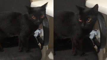 Reprodução/TikTok @anasampaiohh