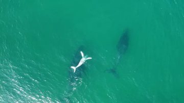 Tiago Baracho/Acervo pessoal