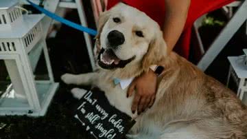 Reprodução / Redes Sociais