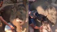 Reprodução/TikTok