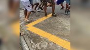 Reprodução/Vídeo