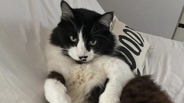 Reprodução/Leana Mattei