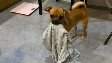 Reprodução/Twitter @meltedvideos