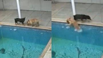 Reprodução/TikTok @vianaemily15