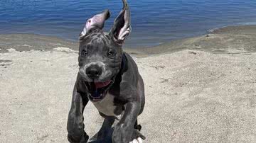 Arquivo pessoal/Ellen MacKenzie