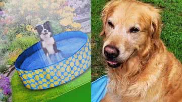 Reprodução/TikTok @bsweatt