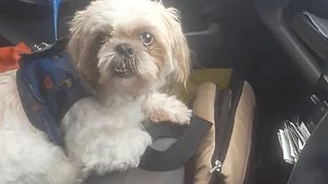 Reprodução/Facebook/Taxistas zona norte de Bogota