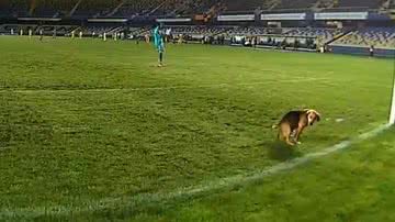 Reprodução/Twitter @NaazzCL_