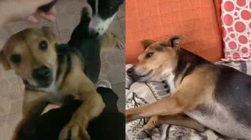 Reprodução/TikTok @arethasouza5