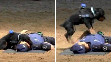 Reprodução/Twitter @estressecurado