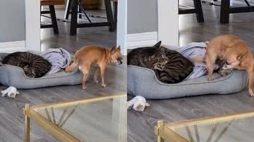 Reprodução/Twitter