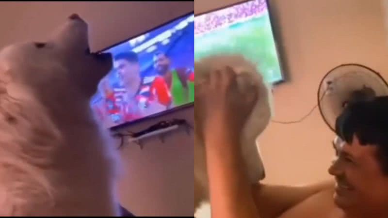 Reprodução/Twitter @nocontextfooty