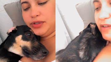 Reprodução/TikTok @pet_miamaria