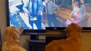 Reprodução/Instagram @skylars.the.limit