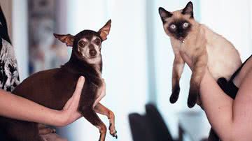 Foto Ilustrativa/Pexels