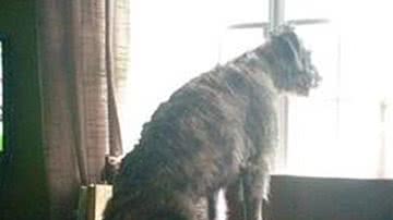 Reprodução/Instagram @Rrredditstutter